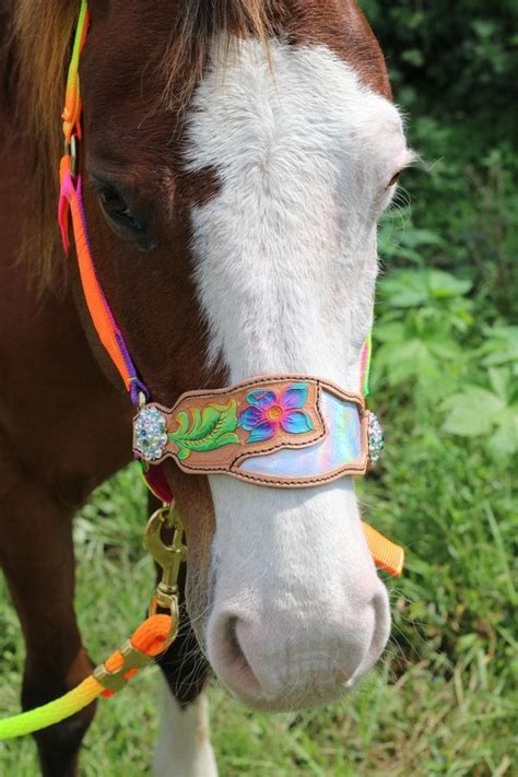 unique horse halter.